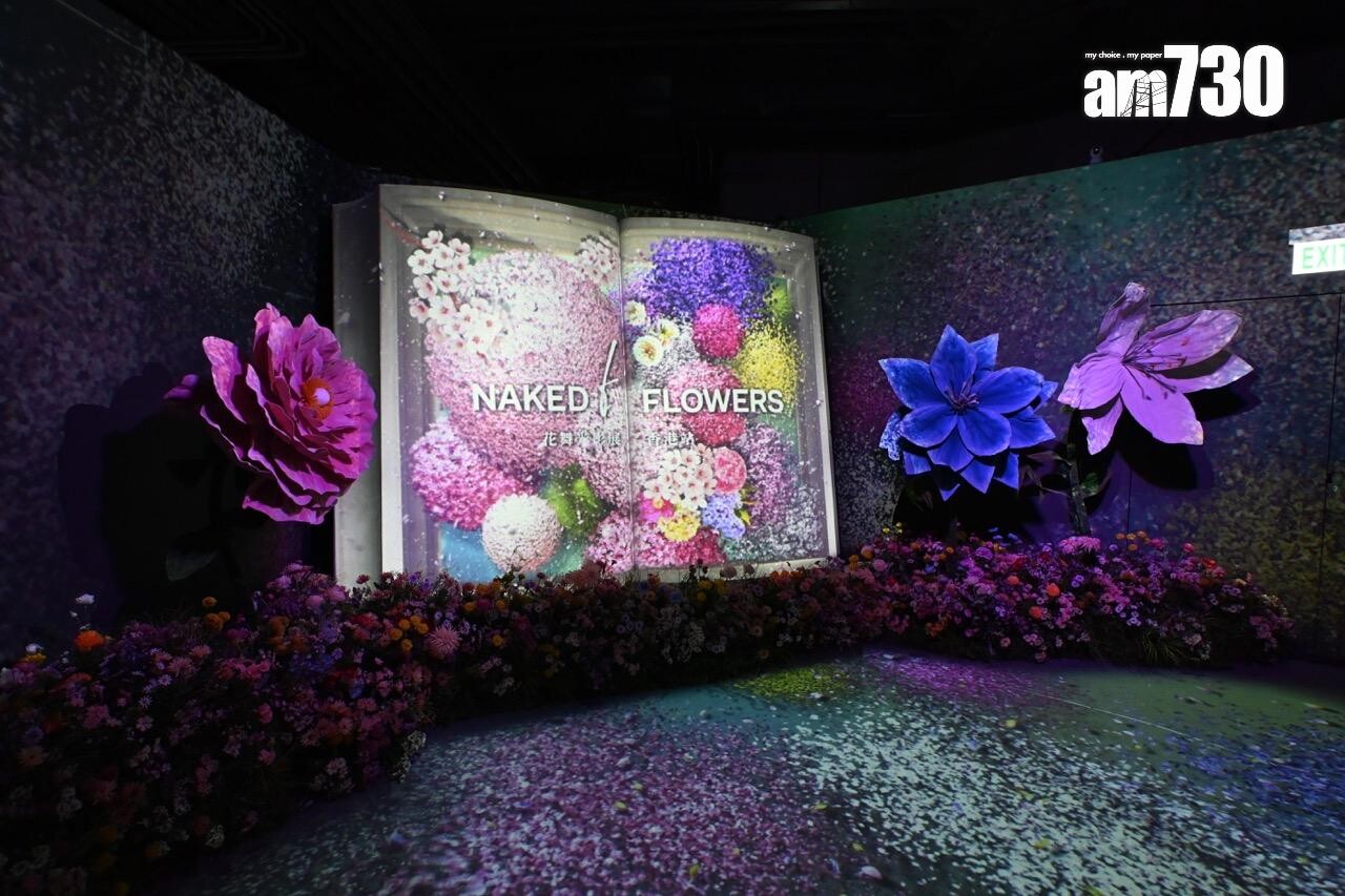 第一展區:花の書 NAKED BIG BOOK